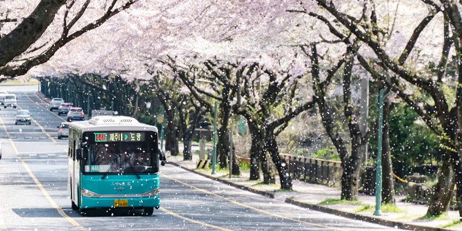 Turis Indonesia Gratis Visa Liburan ke Pulau Jeju