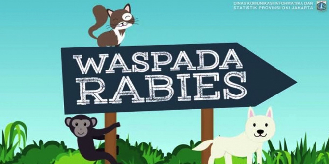 Pentingnya Vaksin Untuk Hewan Untuk Mengatasi Rabies